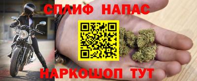 прущие крисы Будённовск