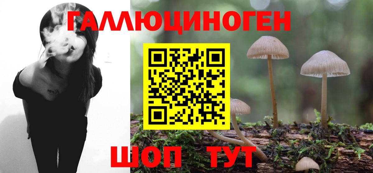 Псилоцибиновые грибы GOLDEN TEACHER  Вход с VPN  Псилоцибиновые грибы Psilocybine cubensis  Саров 